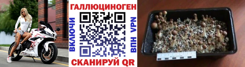 Галлюциногенные грибы Cubensis  купить наркотик  KRAKEN вход  Глазов 